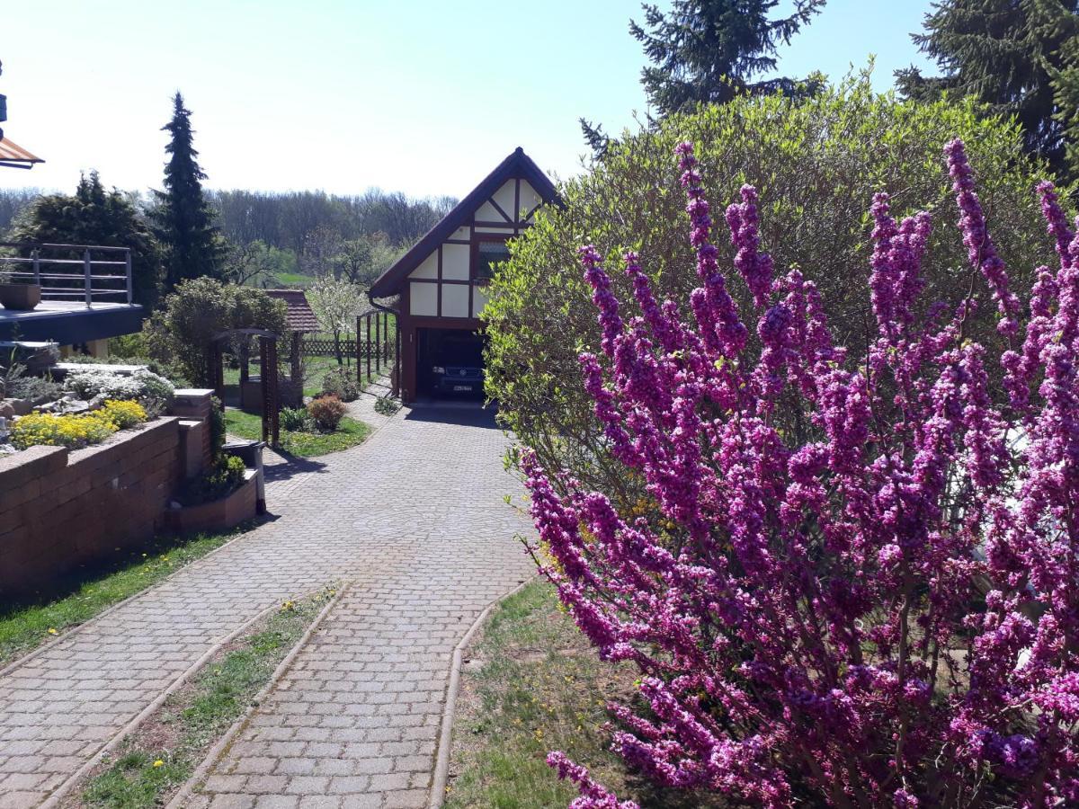 Ferienwohnung Zur Saaleaue Wettin Esterno foto