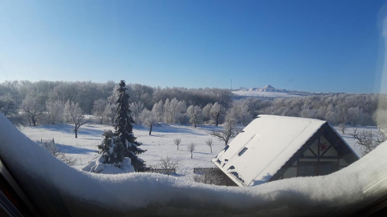 Ferienwohnung Zur Saaleaue Wettin Esterno foto