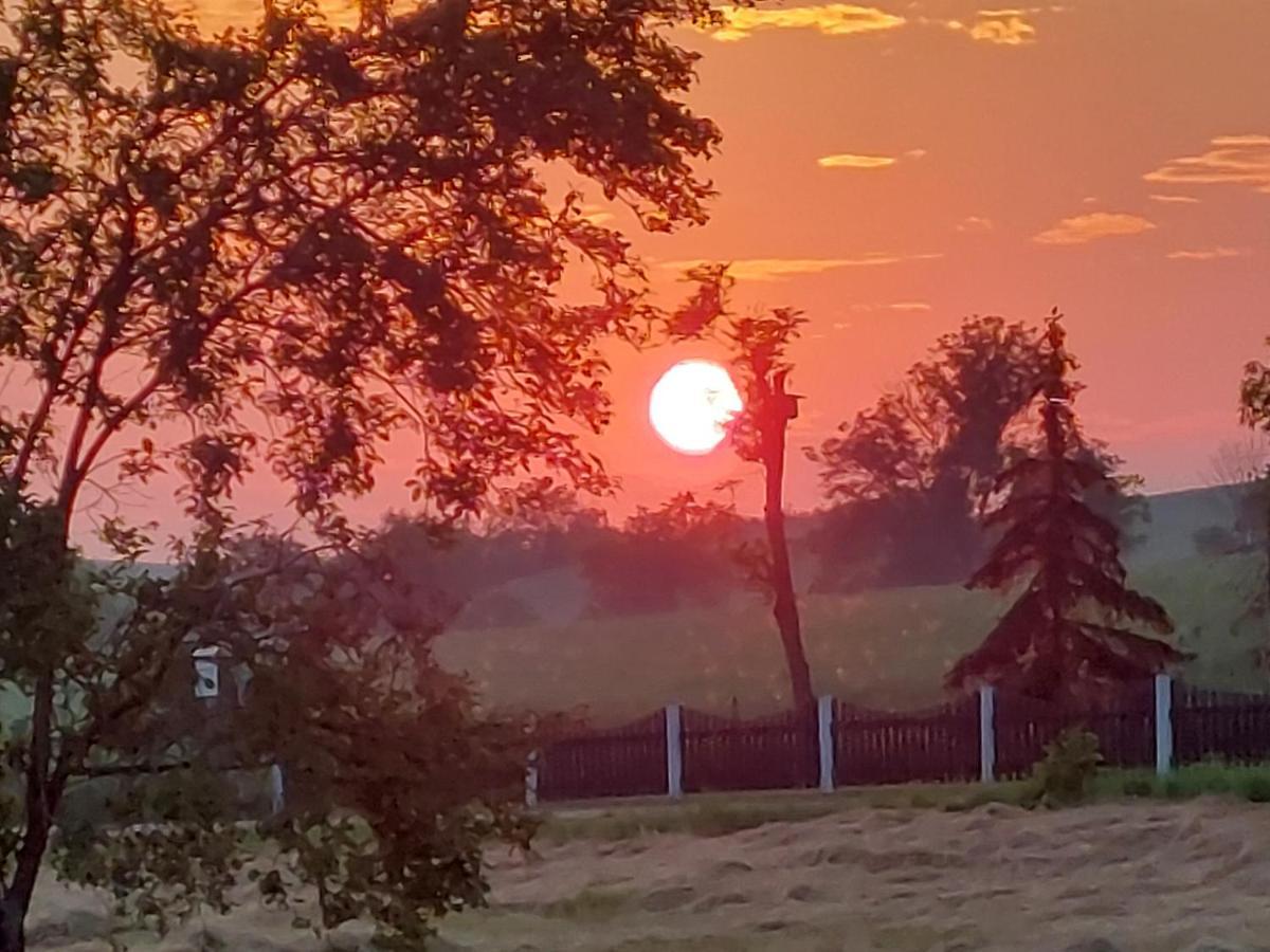 Ferienwohnung Zur Saaleaue Wettin Esterno foto