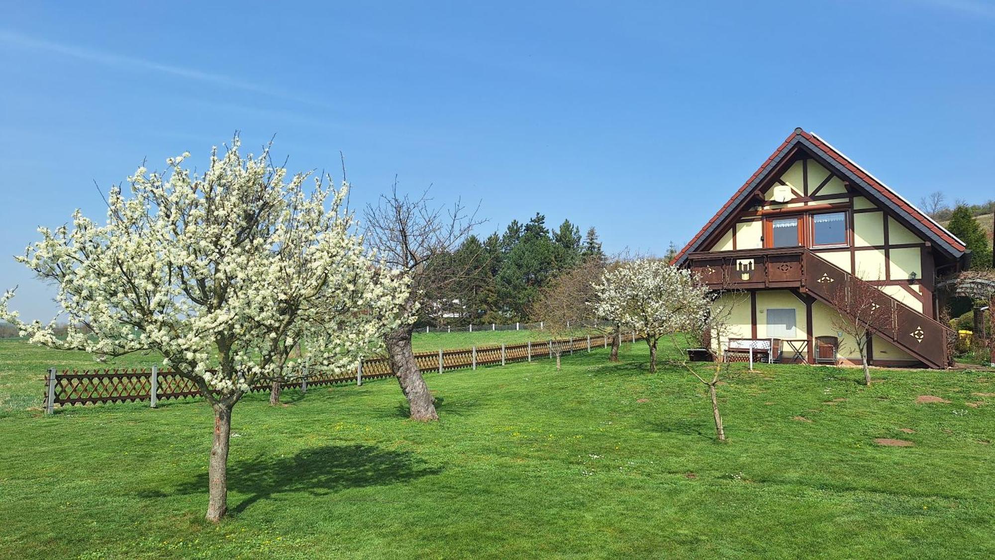 Ferienwohnung Zur Saaleaue Wettin Esterno foto
